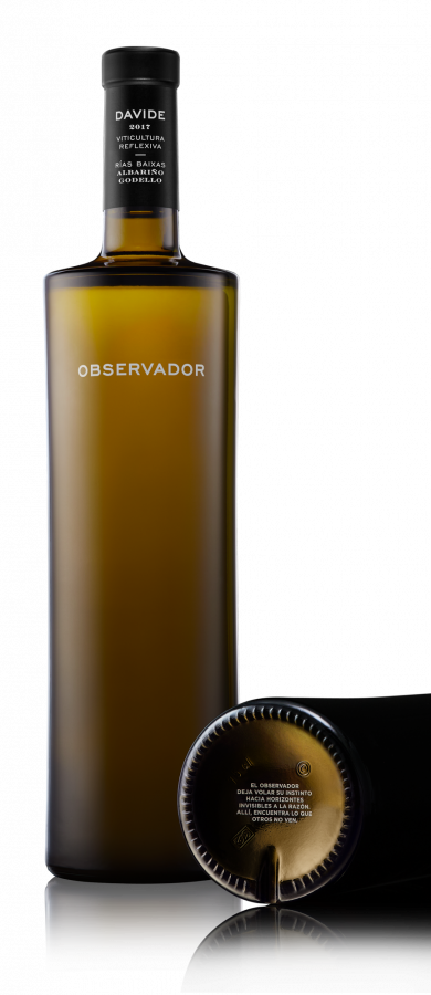 Observador Bodegon.png